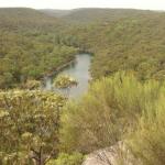 Royal National Park 